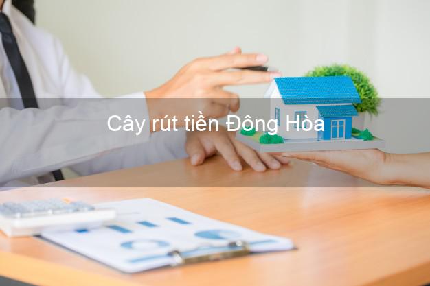 Cây rút tiền Đông Hòa Phú Yên Cây rút tiền Đông Hòa Phú Yên