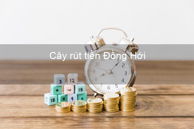 Cây rút tiền Đồng Hới Quảng Bình Cây rút tiền Đồng Hới Quảng Bình