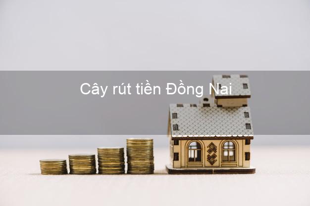 Cây rút tiền Đồng Nai Cây rút tiền Đồng Nai