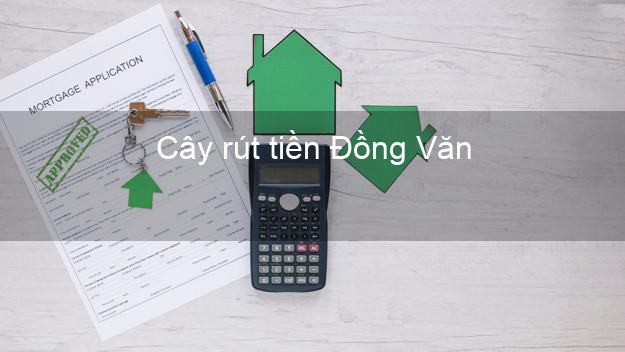 Cây rút tiền Đồng Văn Hà Giang Cây rút tiền Đồng Văn Hà Giang