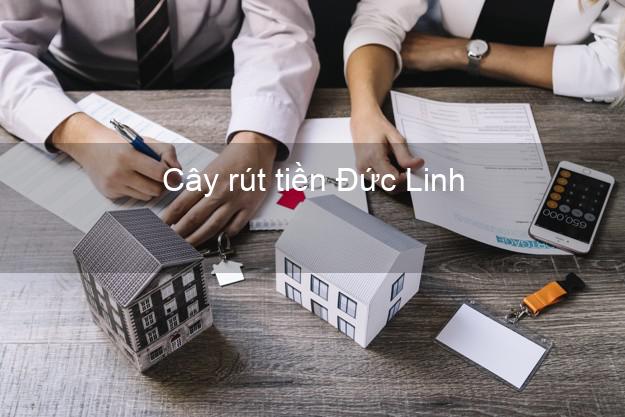 Cây rút tiền Đức Linh Bình Thuận