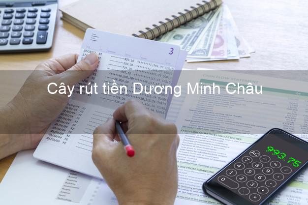 Cây rút tiền Dương Minh Châu Tây Ninh Cây rút tiền Dương Minh Châu Tây Ninh