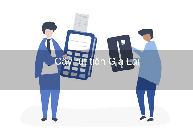 Cây rút tiền Gia Lai