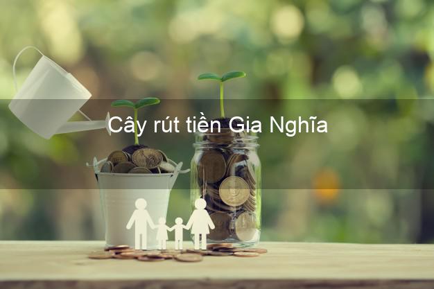 Cây rút tiền Gia Nghĩa Đắk Nông Cây rút tiền Gia Nghĩa Đắk Nông