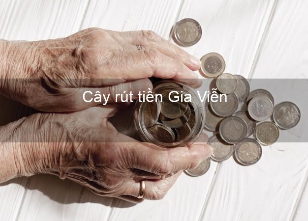Cây rút tiền Gia Viễn Ninh Bình Cây rút tiền Gia Viễn Ninh Bình