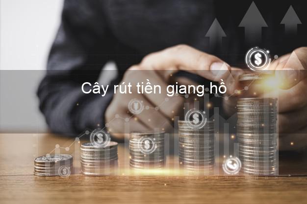 Cây rút tiền giang hồ Nhanh nhất Cây rút tiền giang hồ Nhanh nhất