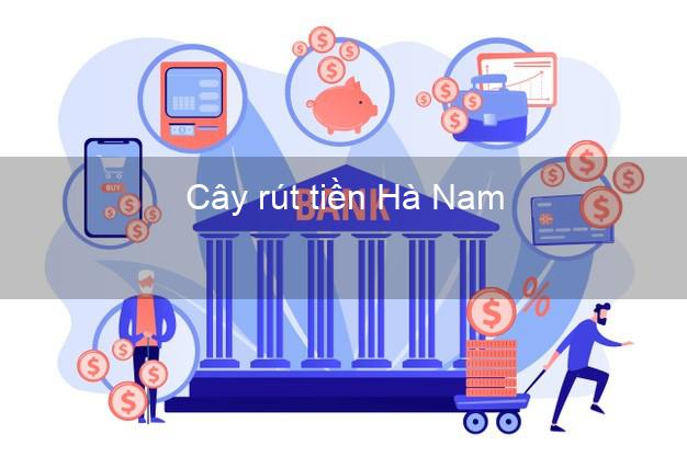 Cây rút tiền Hà Nam Cây rút tiền Hà Nam