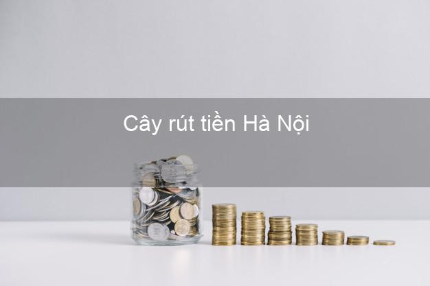 Cây rút tiền Hà Nội Cây rút tiền Hà Nội