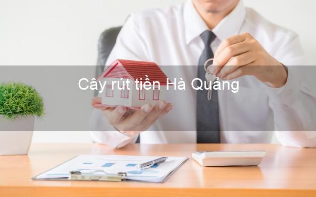 Cây rút tiền Hà Quảng Cao Bằng Cây rút tiền Hà Quảng Cao Bằng