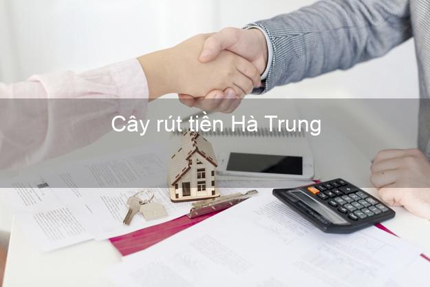 Cây rút tiền Hà Trung Thanh Hóa Cây rút tiền Hà Trung Thanh Hóa