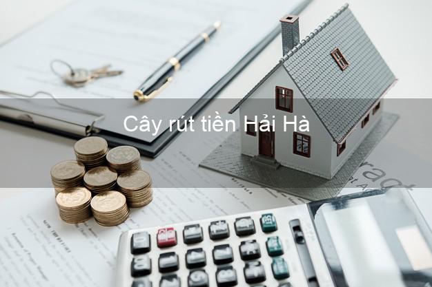 Cây rút tiền Hải Hà Quảng Ninh Cây rút tiền Hải Hà Quảng Ninh