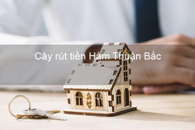 Cây rút tiền Hàm Thuận Bắc Bình Thuận