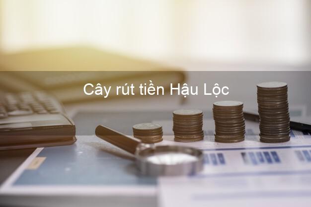Cây rút tiền Hậu Lộc Thanh Hóa Cây rút tiền Hậu Lộc Thanh Hóa
