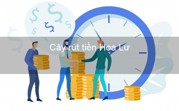 Cây rút tiền Hoa Lư Ninh Bình Cây rút tiền Hoa Lư Ninh Bình