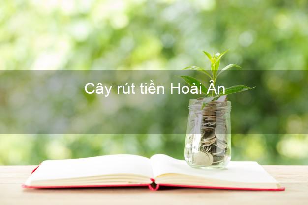 Cây rút tiền Hoài Ân Bình Định Cây rút tiền Hoài Ân Bình Định