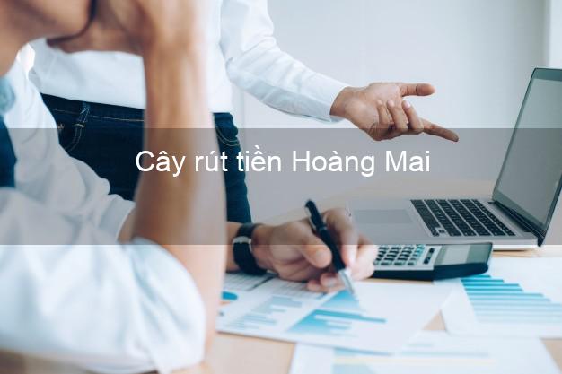 Cây rút tiền Hoàng Mai Nghệ An Cây rút tiền Hoàng Mai Nghệ An