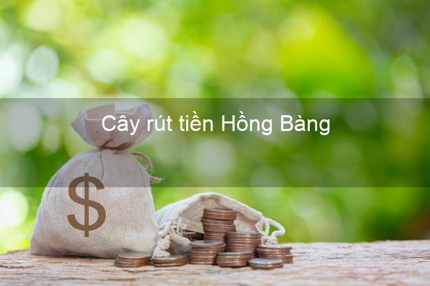 Cây rút tiền Hồng Bàng Hải Phòng Cây rút tiền Hồng Bàng Hải Phòng
