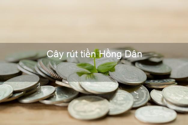 Cây rút tiền Hồng Dân Bạc Liêu