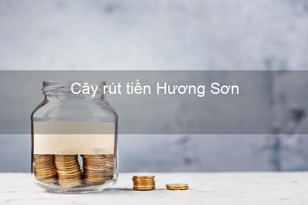 Cây rút tiền Hương Sơn Hà Tĩnh Cây rút tiền Hương Sơn Hà Tĩnh