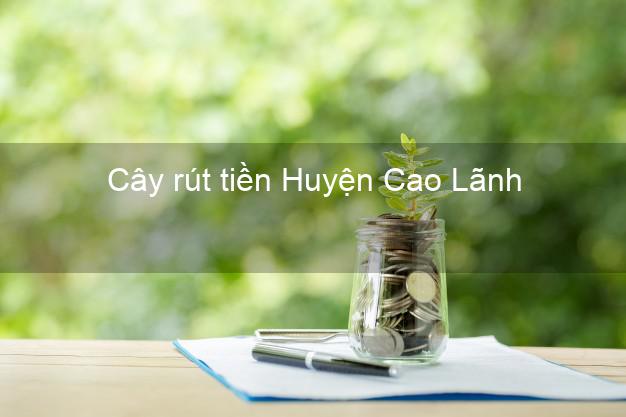 Cây rút tiền Huyện Cao Lãnh Đồng Tháp Cây rút tiền Huyện Cao Lãnh Đồng Tháp