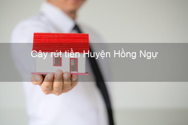 Cây rút tiền Huyện Hồng Ngự Đồng Tháp Cây rút tiền Huyện Hồng Ngự Đồng Tháp