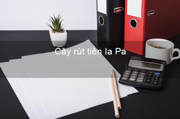 Cây rút tiền Ia Pa Gia Lai