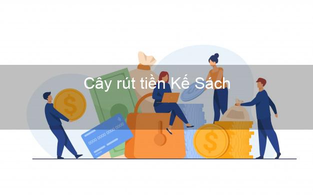 Cây rút tiền Kế Sách Sóc Trăng Cây rút tiền Kế Sách Sóc Trăng
