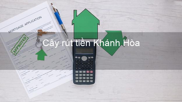 Cây rút tiền Khánh Hòa Cây rút tiền Khánh Hòa