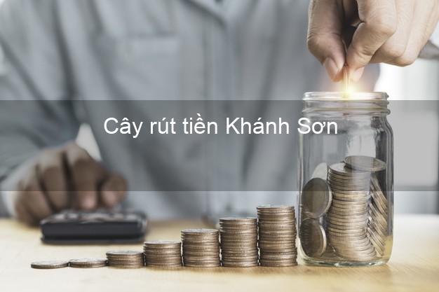 Cây rút tiền Khánh Sơn Khánh Hòa Cây rút tiền Khánh Sơn Khánh Hòa