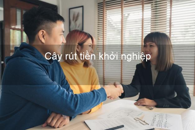 Cây rút tiền khởi nghiệp Nhanh nhất Cây rút tiền khởi nghiệp Nhanh nhất