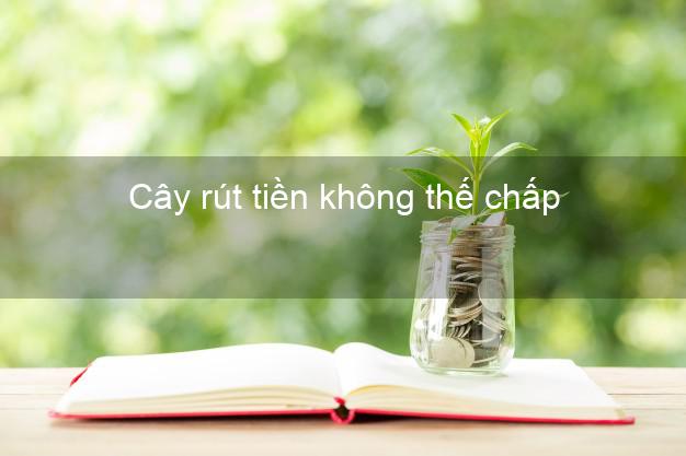Cây rút tiền không thế chấp Nhanh nhất Cây rút tiền không thế chấp Nhanh nhất