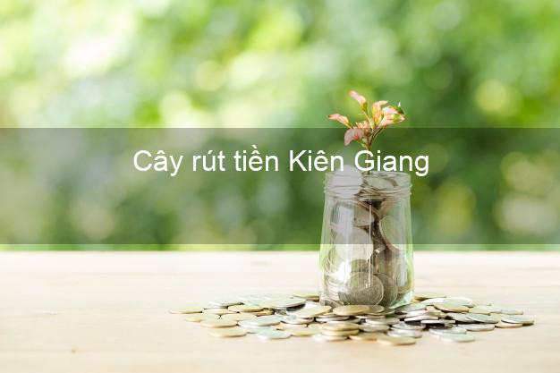 Cây rút tiền Kiên Giang Cây rút tiền Kiên Giang