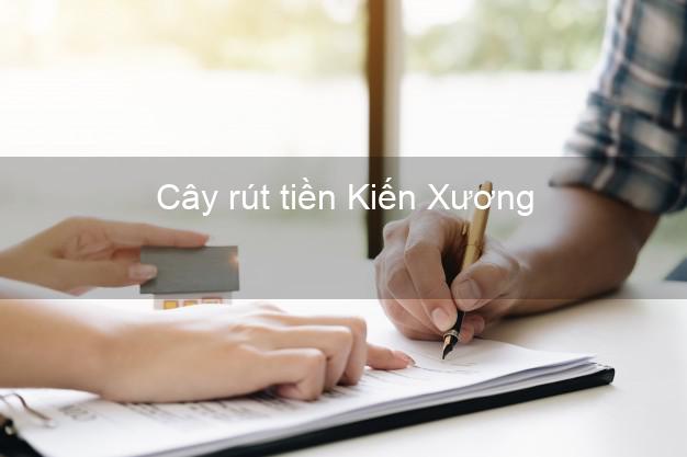 Cây rút tiền Kiến Xương Thái Bình Cây rút tiền Kiến Xương Thái Bình