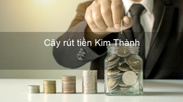 Cây rút tiền Kim Thành Hải Dương Cây rút tiền Kim Thành Hải Dương