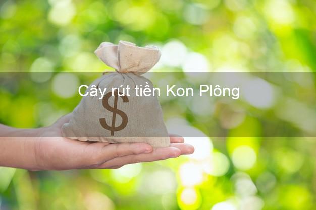 Cây rút tiền Kon Plông Kon Tum Cây rút tiền Kon Plông Kon Tum