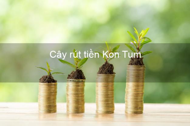 Cây rút tiền Kon Tum Cây rút tiền Kon Tum