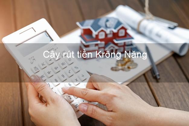 Cây rút tiền Krông Năng Đắk Lắk Cây rút tiền Krông Năng Đắk Lắk