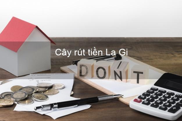 Cây rút tiền La Gi Bình Thuận