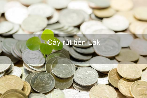 Cây rút tiền Lăk Đắk Lắk Cây rút tiền Lăk Đắk Lắk