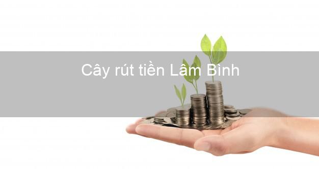 Cây rút tiền Lâm Bình Tuyên Quang Cây rút tiền Lâm Bình Tuyên Quang