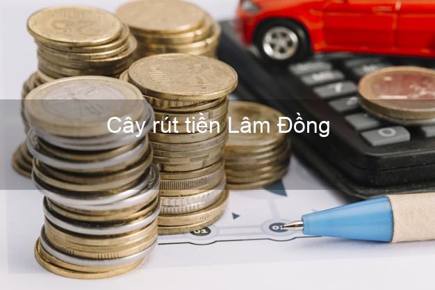 Cây rút tiền Lâm Đồng Cây rút tiền Lâm Đồng