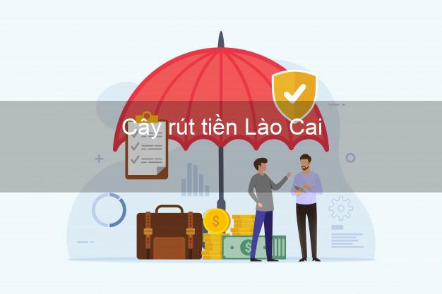 Cây rút tiền Lào Cai Cây rút tiền Lào Cai
