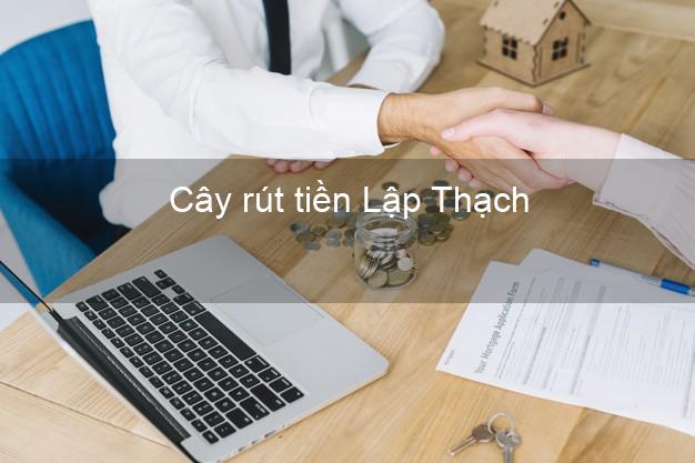 Cây rút tiền Lập Thạch Vĩnh Phúc Cây rút tiền Lập Thạch Vĩnh Phúc