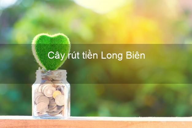 Cây rút tiền Long Biên Hà Nội