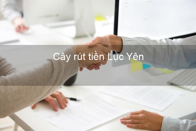 Cây rút tiền Lục Yên Yên Bái Cây rút tiền Lục Yên Yên Bái