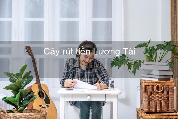 Cây rút tiền Lương Tài Bắc Ninh Cây rút tiền Lương Tài Bắc Ninh