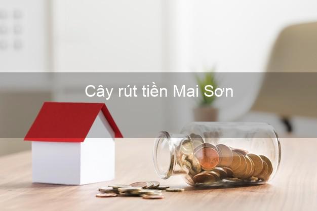 Cây rút tiền Mai Sơn Sơn La Cây rút tiền Mai Sơn Sơn La