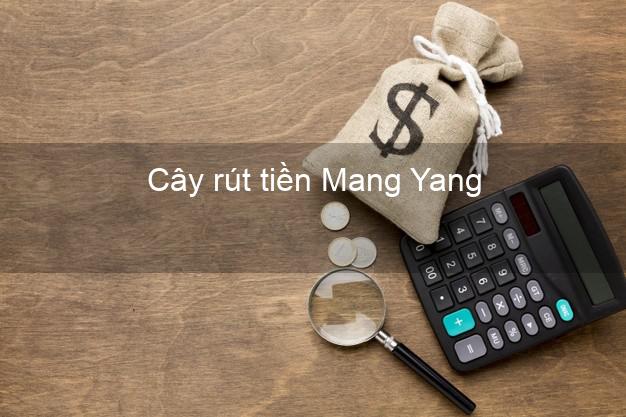Cây rút tiền Mang Yang Gia Lai Cây rút tiền Mang Yang Gia Lai