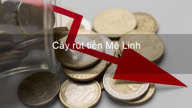Cây rút tiền Mê Linh Hà Nội Cây rút tiền Mê Linh Hà Nội