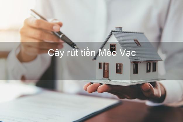 Cây rút tiền Mèo Vạc Hà Giang Cây rút tiền Mèo Vạc Hà Giang